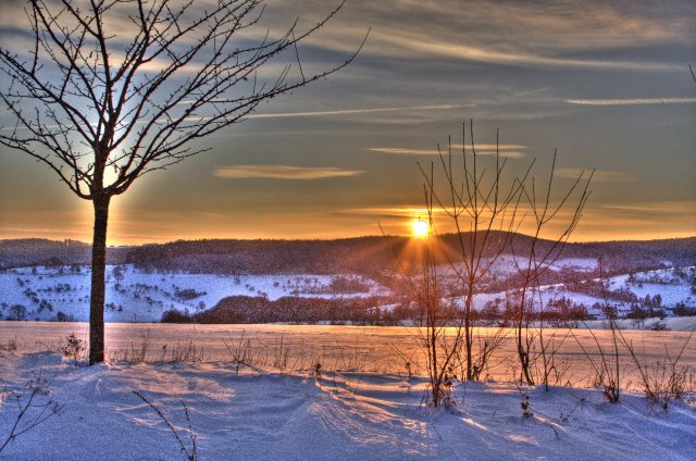 Winter 18.12.2010_5.JPG